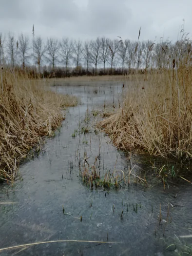 Plains of Zwijndrecht, Antwerp (Belgium)